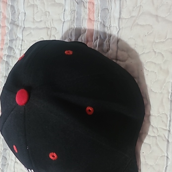 Dale Earnhardt Ball Cap - Picture 4 of 8